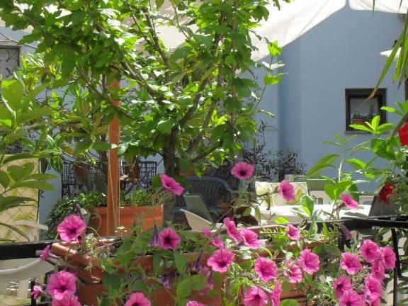 Albergo Ristorante Olimpia Abbadia San Salvator Exterior foto